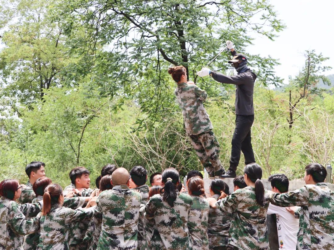 172552534774bc30 172552534774bc30